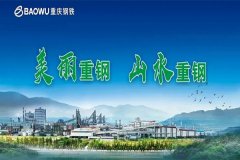【重慶鋼鐵股份有限公司煉鋼廠項(xiàng)
